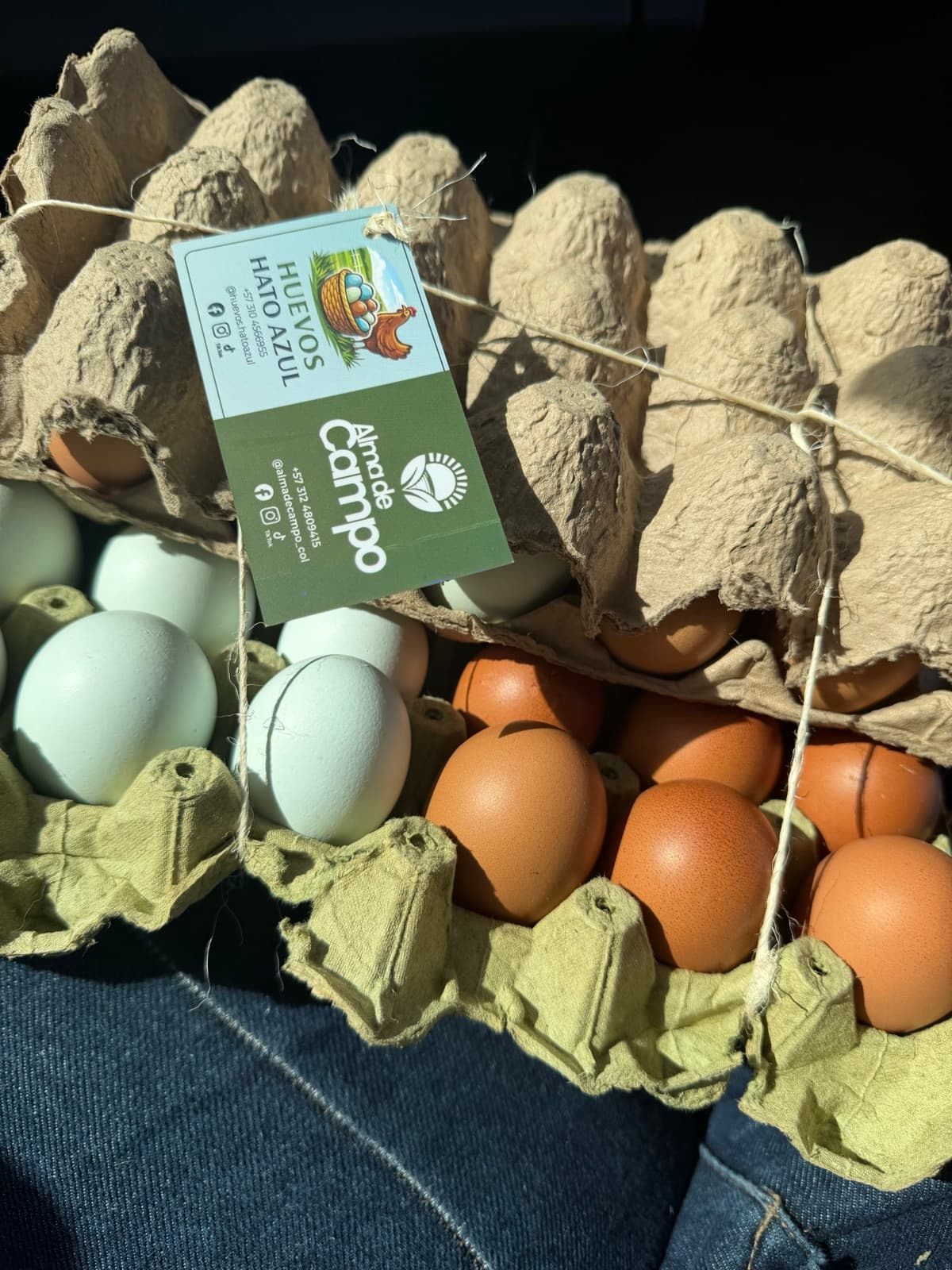Huevos de Gallinas de Pastoreo 1